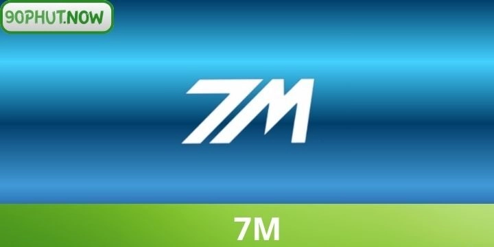 7M - Theo dõi BXH, KQBD, soi kèo toàn diện số 1 hiện nay