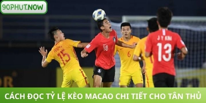 Hình thức cá cược có ở tỷ lệ kèo Macao