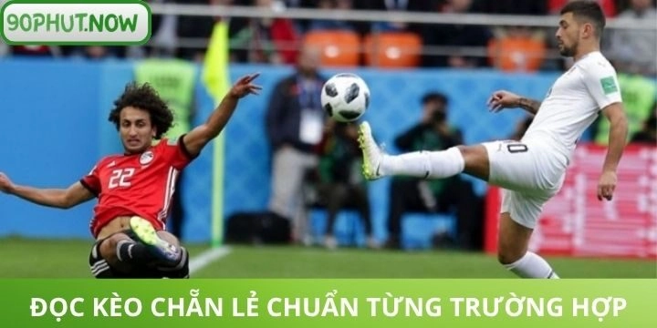 Hướng dẫn cá cược kèo chẵn lẻ cơ bản cho tân binh