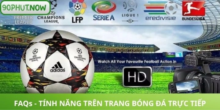 FAQs liên quan đến nội dung và tính năng trên website