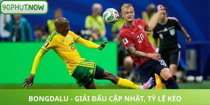 Thông tin giải đấu tỷ lệ kèo cược Bongdalu