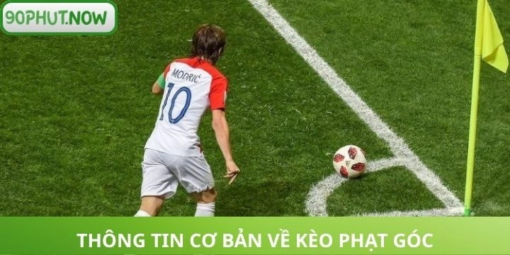 Thông tin cơ bản về kèo phạt góc cần nắm vững