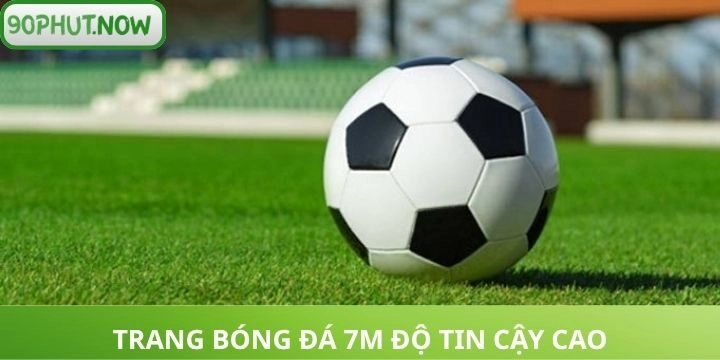 Tìm hiểu nguồn gốc và sự tin cậy của thương hiệu 7M