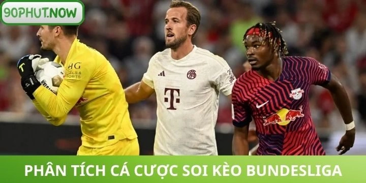 Nắm bắt các loại tỷ lệ khi soi kèo Bundesliga