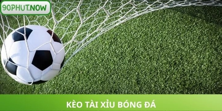 Giải mã bản chất kèo tài xỉu trong cá cược bóng đá