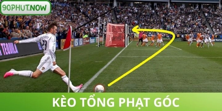 Kèo tổng phạt góc - Cược hấp dẫn cùng chiến thuật hay từ chuyên gia