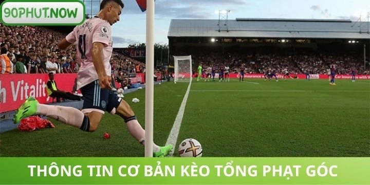 Những đặc điểm cơ bản về kèo tổng phạt góc